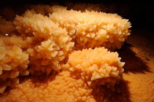 Grotte du Cirque (Lot) - Cristaux de calcite en dents de cochon dans un gour(SP 10-0659)