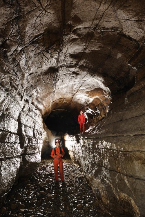Grotte de la Cocalière (Gard) - Galerie en trou de serrure dans le réseau inférieur (développement de la conduite forcée circulaire dans un premier temps, puis approfondissement en écoulement libre)(S 2008-0817)