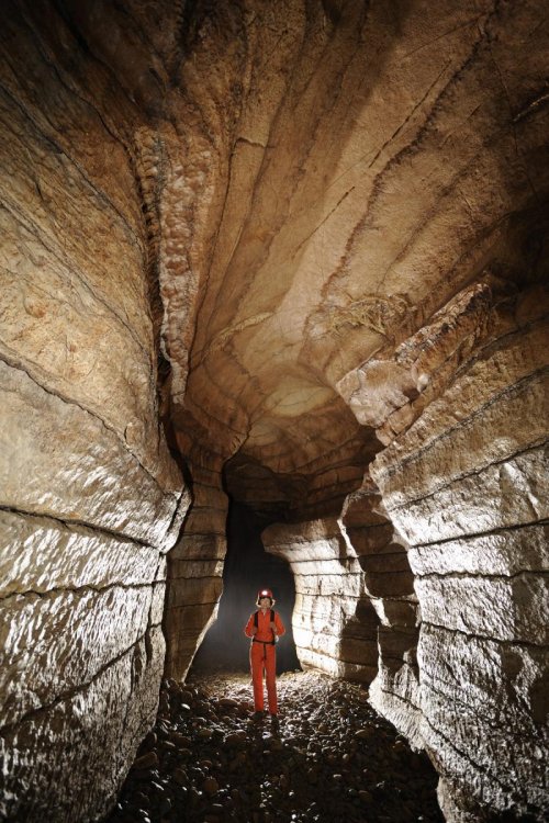 Grotte de la Cocalière (Gard) - Galerie dans le réseau inférieur(SP-08-0821)