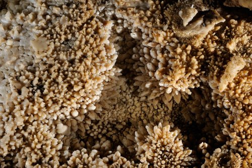 Grotte de l'Aguzou (Aude) - Gour tapissé de cristaux de calcite(SP 11-0894)