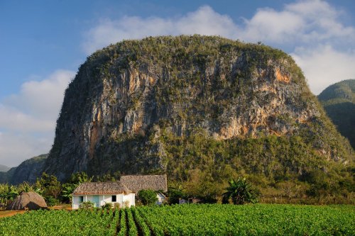Paysages de karsts tropicaux avec leurs spécificités : mogotes, karsts à pinacle, ...
