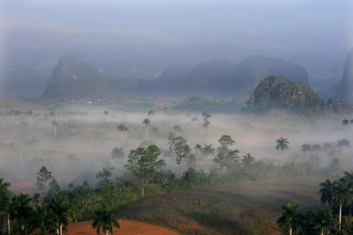 Cuba (région de Vinales). Relief karstique : mogotes dans la brume  au lever du soleil (VO-12-0257)
