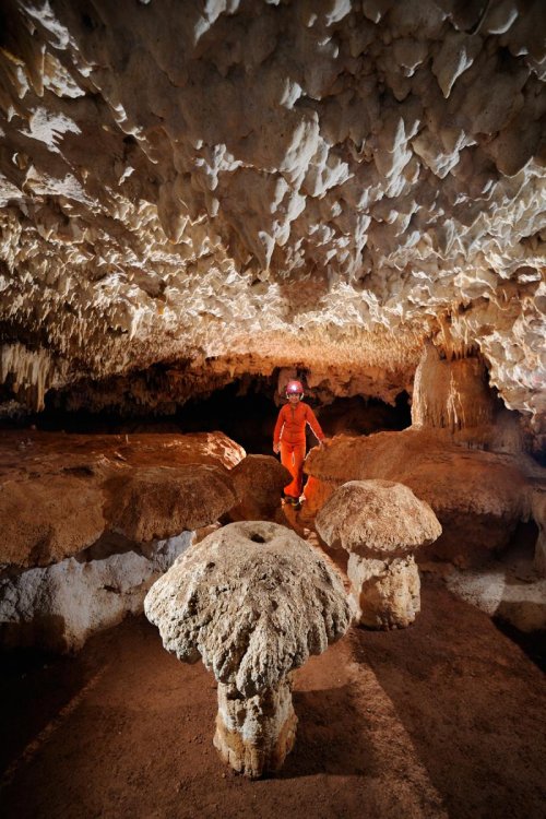 Cueva de Santa Catalina (Expédition Cuba 2012 - Team La Salle). Spéléo  debout derrière deux concrétions en forme de champignons.(SP-12-0013)