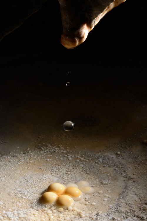 Grotte de Lodève (Hérault) - "œufs au plat" (petits dômes de calcite jaune au sol)(SP-13-1380)