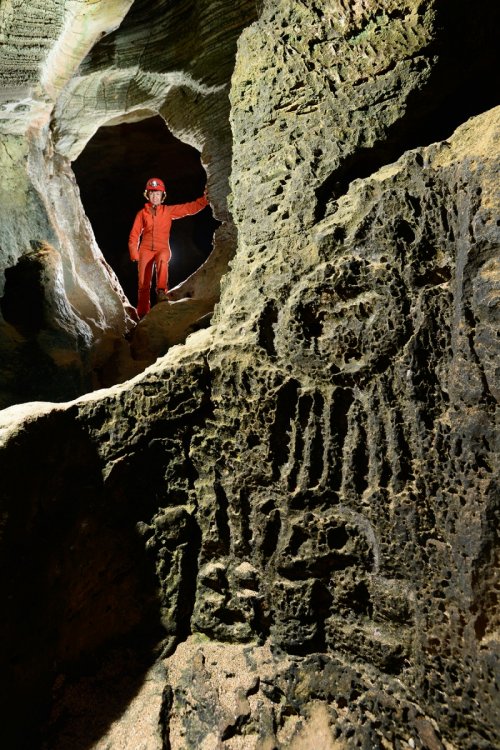 Cueva del Indio(Province d'Arecibo, Porto Rico)- Gravures indienne sur la paroi(SP-14-0296)