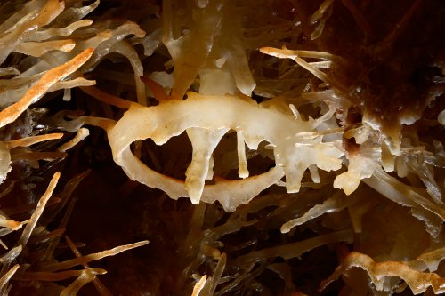 sp-14-0549(SP-14-0549)