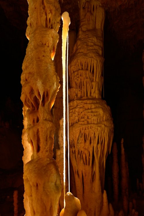 sp-14-0579 (SP-14-0579)