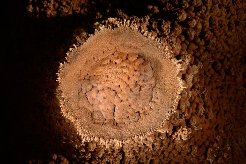 Grotte des Ecossaises (Hérault) - Stalagmite avec colerette(SP 14-0770)