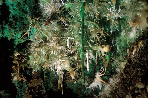 Bouquets d'aragonite verte(Spe-07676)