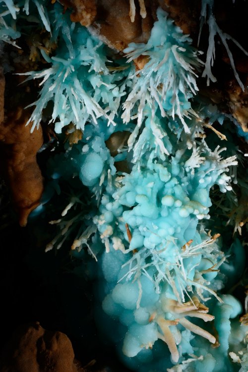 Aven des Crozes - Aragonite bleue (aiguilles et massive)(SP-14-0880)