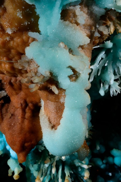 Aven des Crozes - Placage d'aragonite bleue sur une paroi(SP-14-0882)