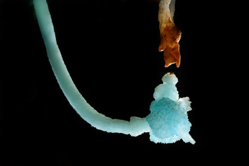 Aven des Crozes - Excentrique d'aragonite bleue(SP-14-0884)