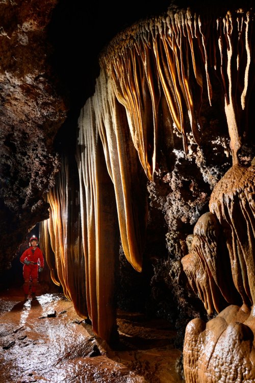 Grotte de Vitalis - Grandes draperies le long d'une galerie(SP-14-1030)