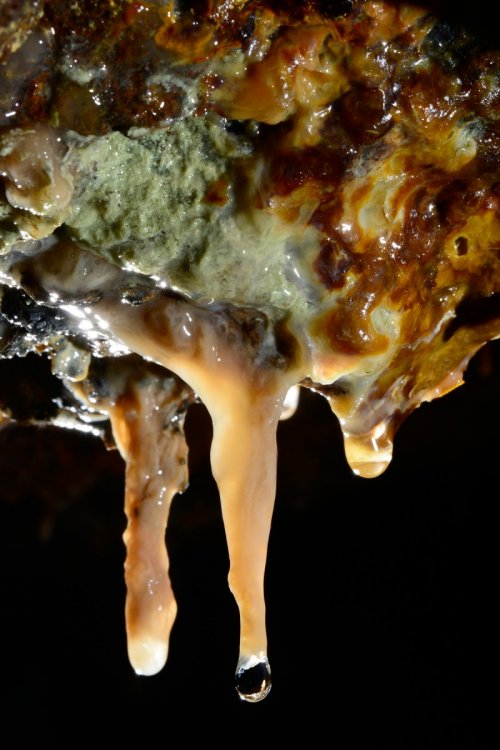 Mine de l'Aude - Concrétions colorées(SP-14-1028)