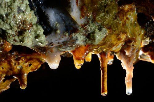 Mine de l'Aude - Concrétions colorées(SP-14-1021)