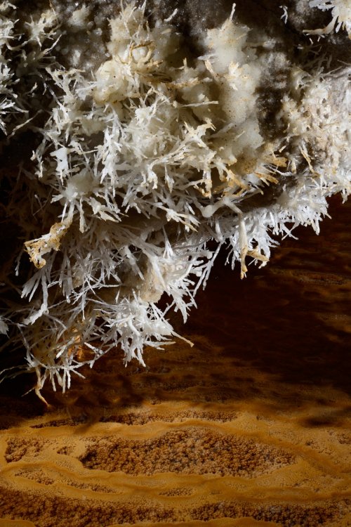 Grotte de l'Aguzou (Aude) - Cristaux d'aragonite au dessus d'un petit gour(SP-14-0993)