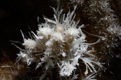 Grotte de l'Aguzou (Aude) - Détail des cristaux d'aragonite(SP-14-0976)
