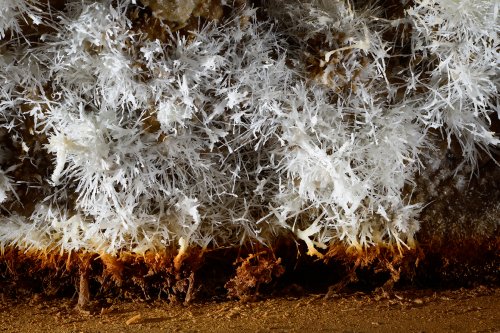 Grotte de l'Aguzou (Aude) - Cristaux d'aragonite(SP-14-0969)