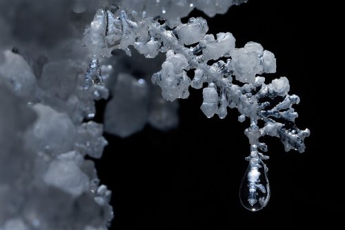 3N Cave(Namakdan, Qeshm, Iran) - Excentrique de sel sur une stalactite(SP-15-0248)