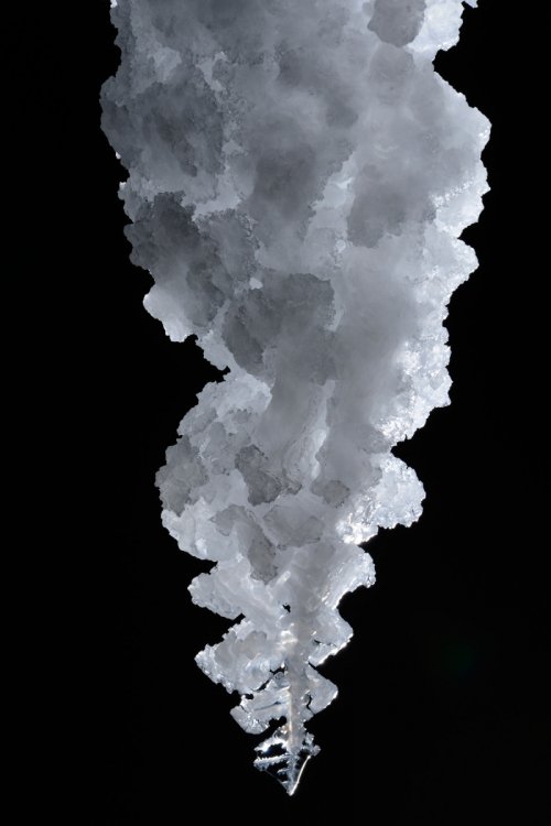 3N Cave(Namakdan, Qeshm, Iran) - Extrémité d'une stalactite de sel(SP-15-0229)