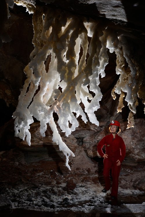 3N Cave(Namakdan, Qeshm, Iran) - Stalactites massives de sel (l'octopus)(SP-15-0202)