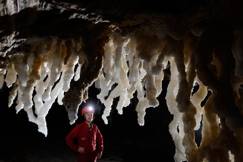 3N Cave(Namakdan, Qeshm, Iran) - Stalactites massives de sel(SP-15-0191)