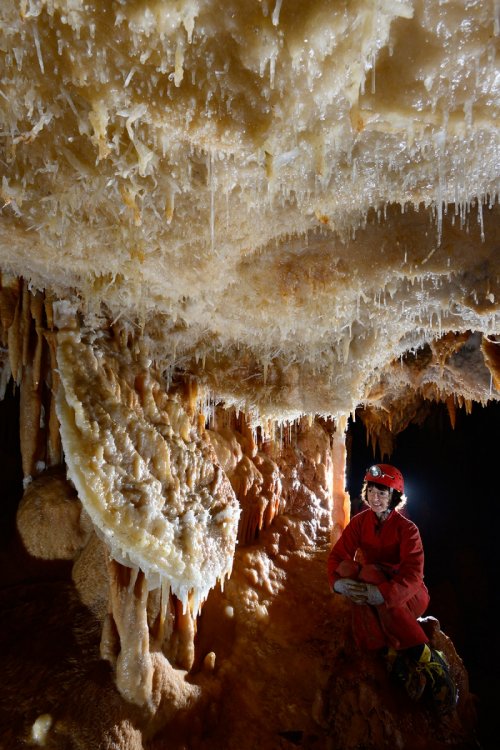 Grotte de la Toussaint (Gard) - Galerie avec disque et excentriques au plafond(SP-15-0417)