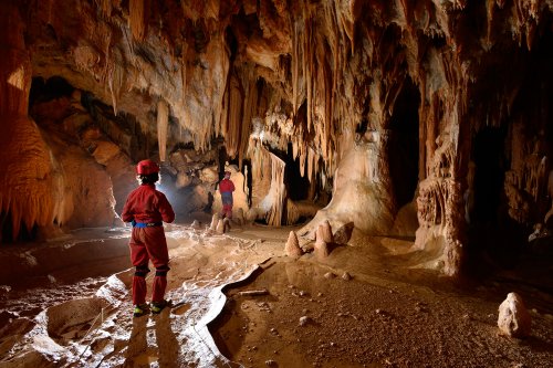 Grotte de la Toussaint (Gard) - Spéléos sur passage balisé dans une salle concrétionnée (SP-15-0405)