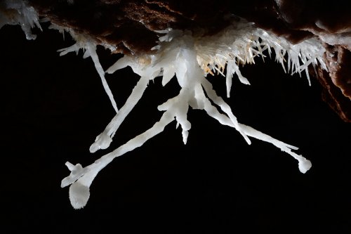 Aven des Crozes - Excentrique d'aragonite(SP-15-0599)