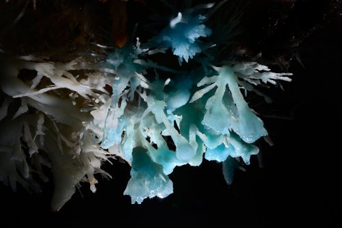 Aven des Crozes - Petit bouquet d'aragonite bleue(SP-15-0590)