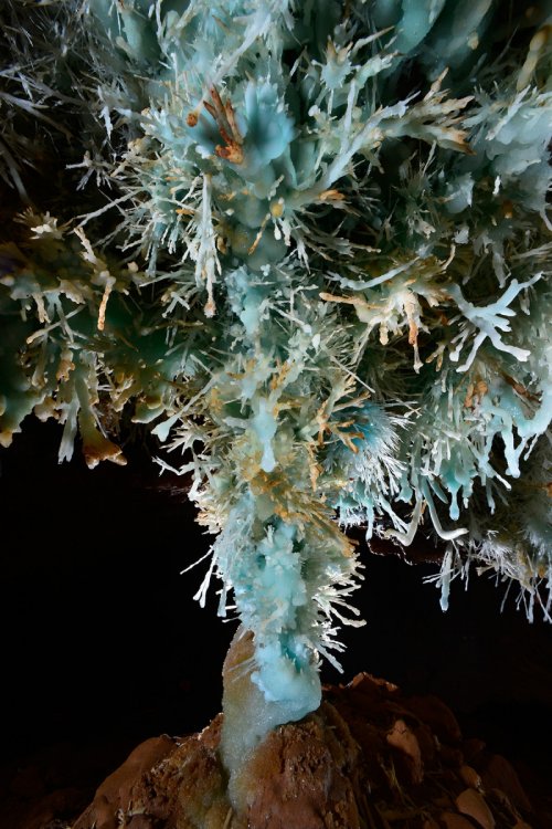 Aven des Crozes - Gros bouquet d'aragonite bleue(SP-15-0578)