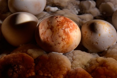 Détail d'une perle des cavernes avec des rayures rouges dues aux oxydes de fer(SP-15-1122)