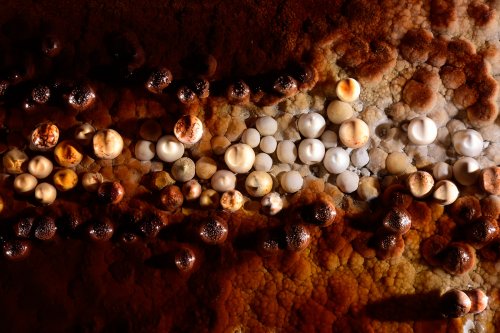 Perles des cavernes blanches et rouges (pisolithes) alignées(SP-15-1113)