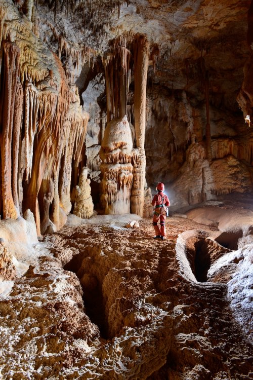 Grotte des Ecossaises (Hérault) - Galerie concrétionnée avec sol cristallisé (la progression se fait en chaussons pour préserver le sol)(SP-15-1059)