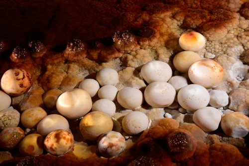 Perles des cavernes (pisolithes) orange(SP-15-1193)