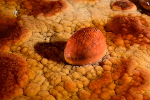 Perles des cavernes (pisolithes) orange(SP-15-1182)