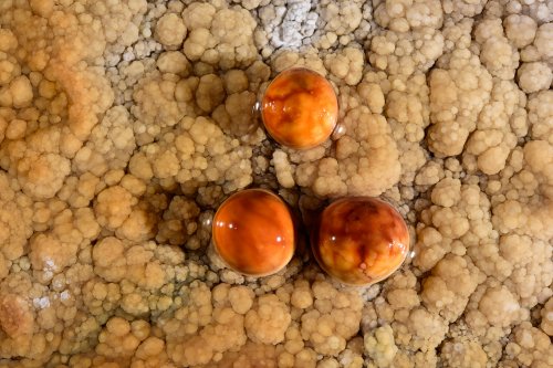 Perles des cavernes (pisolithes) orange(SP-15-1175)