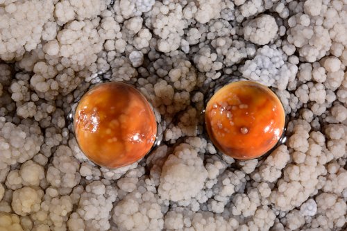 Perles des cavernes (pisolithes) orange(SP-15-1173)