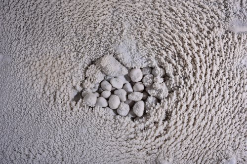 Perles des cavernes (pisolithes) dans une vasque cristallisée(SP-15-1145)