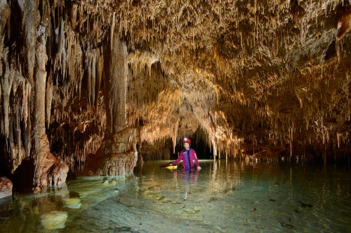 Cova des Pas de Vallgornera (Majorque, Baléares, Espagne) - Réseau concrétionné envahi par l'eau.(SP-15-1263)