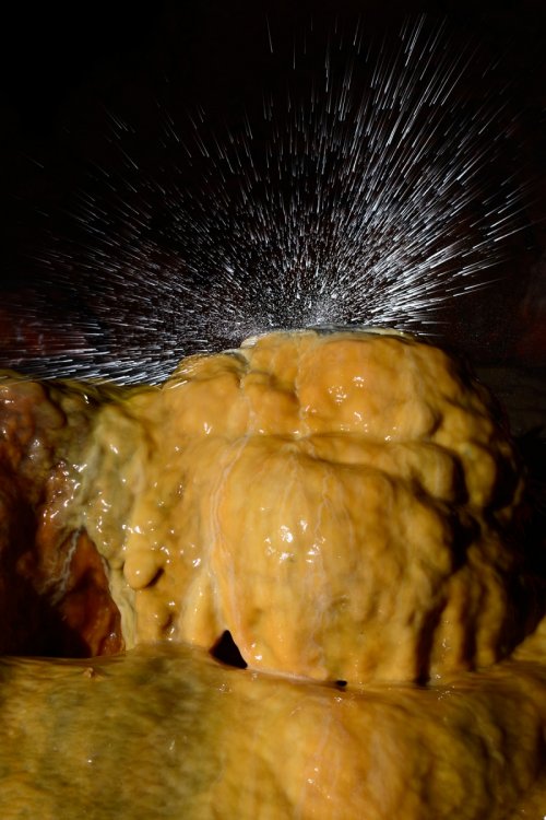 Grotte de Dargilan (Lozère) : goutte éclatant sur une stalagmite massive(SP-15-1444)
