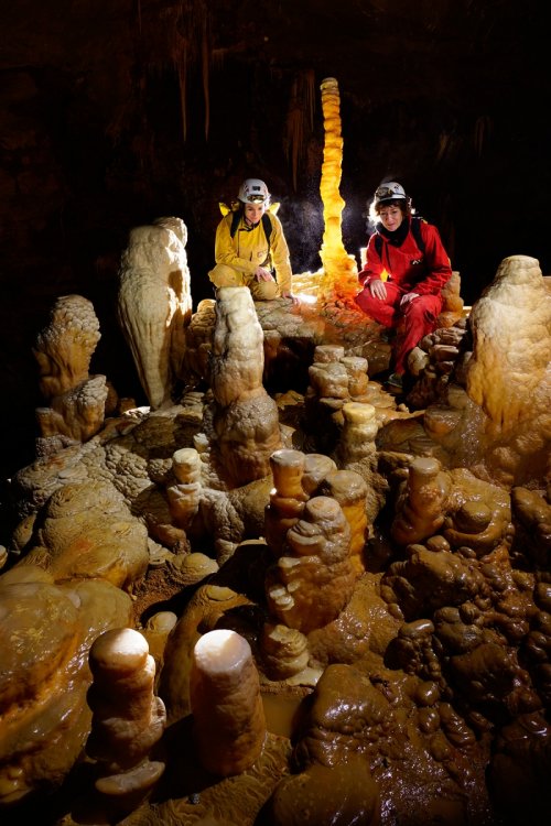 Grotte de Dargilan (Lozère) : stalagmites massives(SP-15-1420)