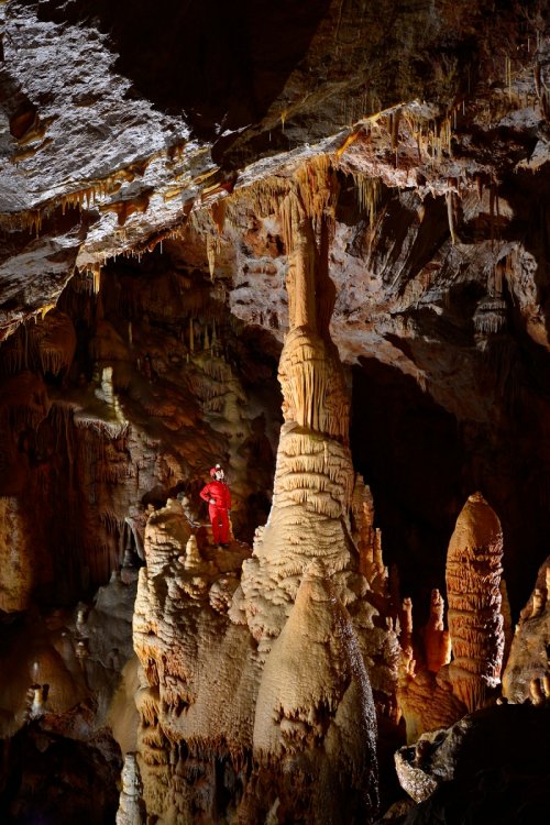 Grotte de Dargilan (Lozère) : Spéléo à côté d'une grande colonne (le Minaret - partie touristique)(SP-15-1417)