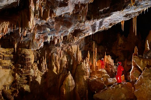 Grotte de Dargilan (Lozère) : Salle concrétionnée avec stalagmites massives (partie touristique)(SP-15-1411)