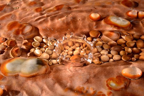 Nid de perles de cavernes roses(SP-15-1563)