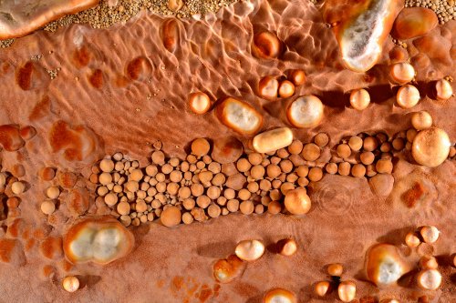 Nid de perles de cavernes roses(SP-15-1554)