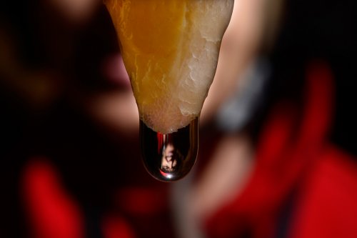Grotte de la Toussaint (Gard) - Reflet d'un spéléo dans goutte au bout d'une stalactite(SP-15-1536)