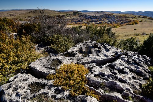 Parc National des Cévennes (Lozère, France) - Causse Méjean - Site ruiniforme de Nîmes-le-Vieux : petit lapiaz dans les dolomies grises avec site an arrière-plan(PA-16-0195)