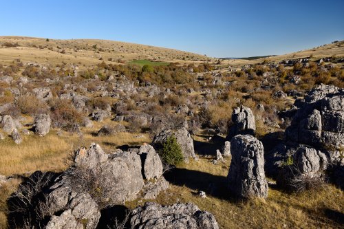 Parc National des Cévennes (Lozère, France) - Causse Méjean - Site ruiniforme de Nîmes-le-Vieux : rochers (dolomies grises du Bathonien)(PA-16-0176)