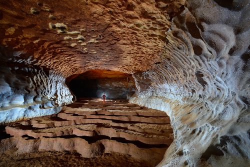 Grotte de Saint-Marcel d'Ardèche (réseau 4) - Grande galerie avec gours géants(SP-16-1228)